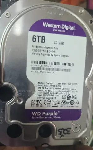 Western Digital Purple Surveillance Hard Drive
