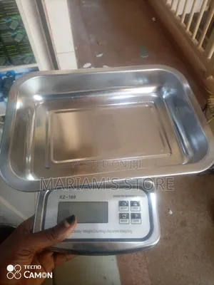 Stainless Steel Waterproof Kitchen Scale Witha Digital Display