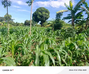  Land for Sale – Rukaaya
