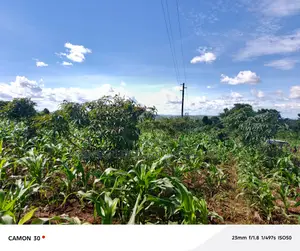 Bujjuko Bulamu Town Estate Prime Residential Plots At 25m