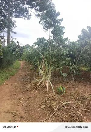  Farmland for Sale – Masaka