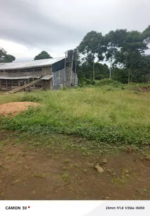  Farmland for Sale – Masaka