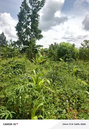 Land for Sale – Kasaka