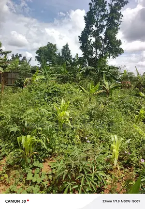 Land for Sale – Kasaka