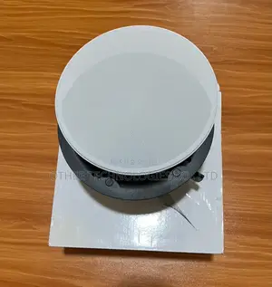 Ceiling Speakers