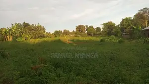 100x100 Ft Plots for Sale