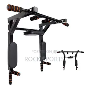 Indoor Wall-Mounted Pull Up Bar