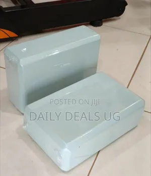 Yoga Blocks Pair