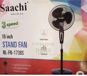 Saachi Stand Fun