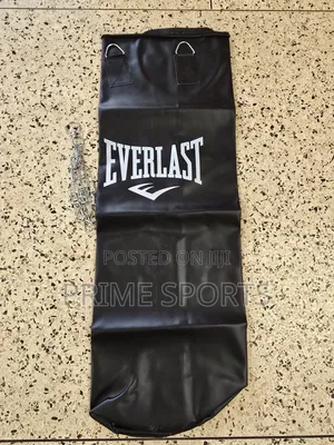 Leather Punching Bag (Everlast)