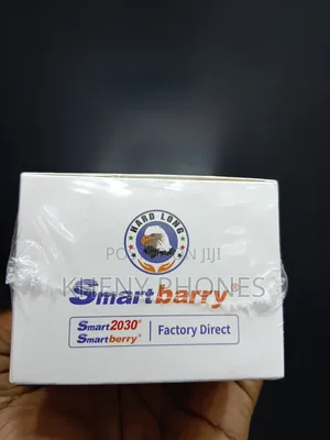 Smartbarry 2030