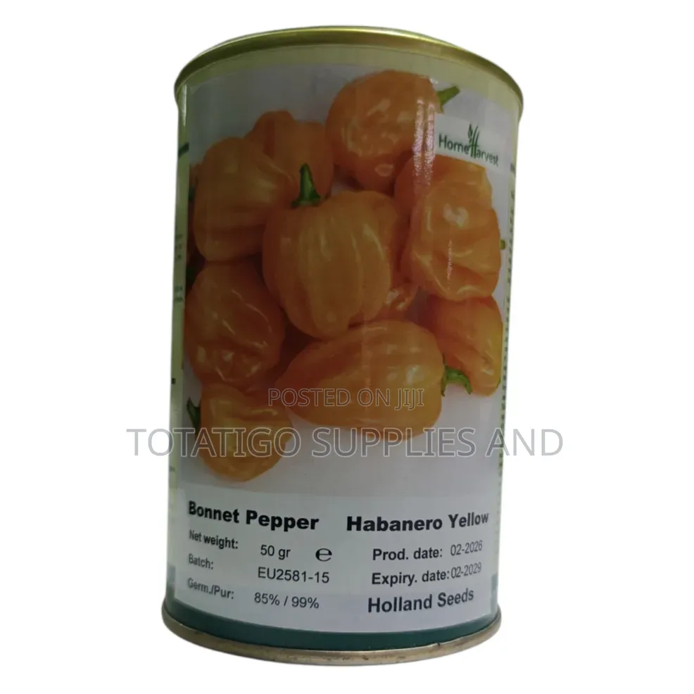 Tomato Seeds All Varieties-50g