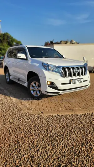 Landcruisers Available for Hire