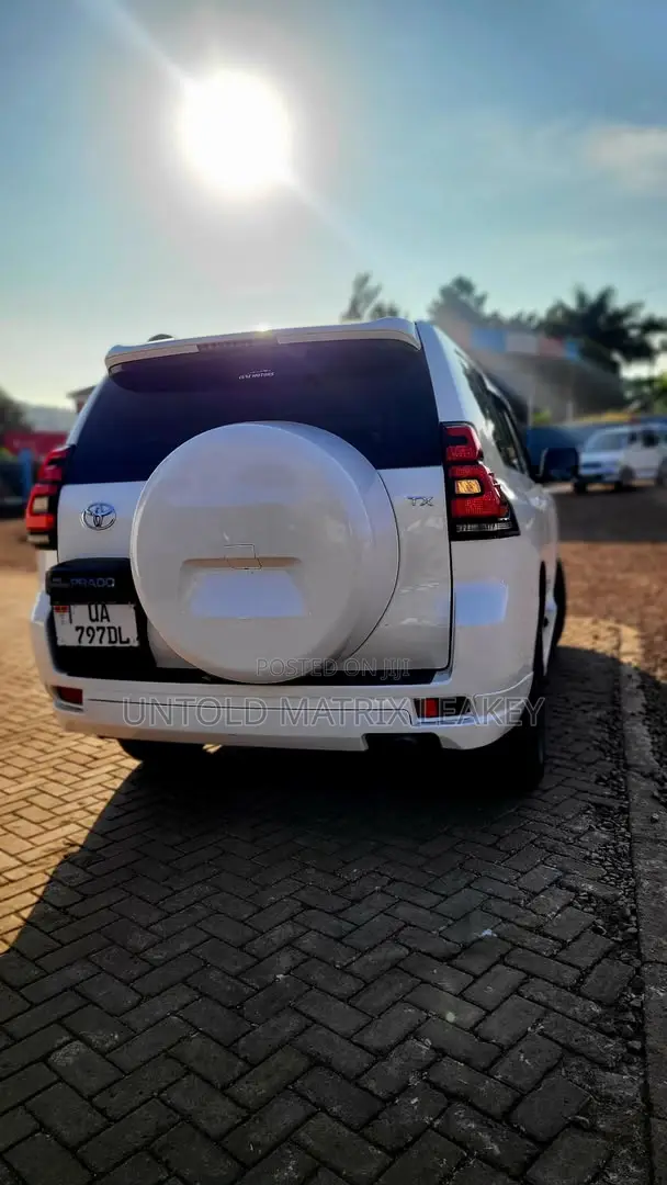 Landcruisers Available for Hire