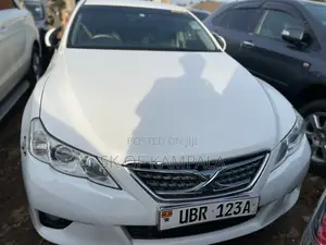 Toyota Mark X 2010 White
