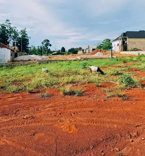  Quick Sale   Plot for Sale