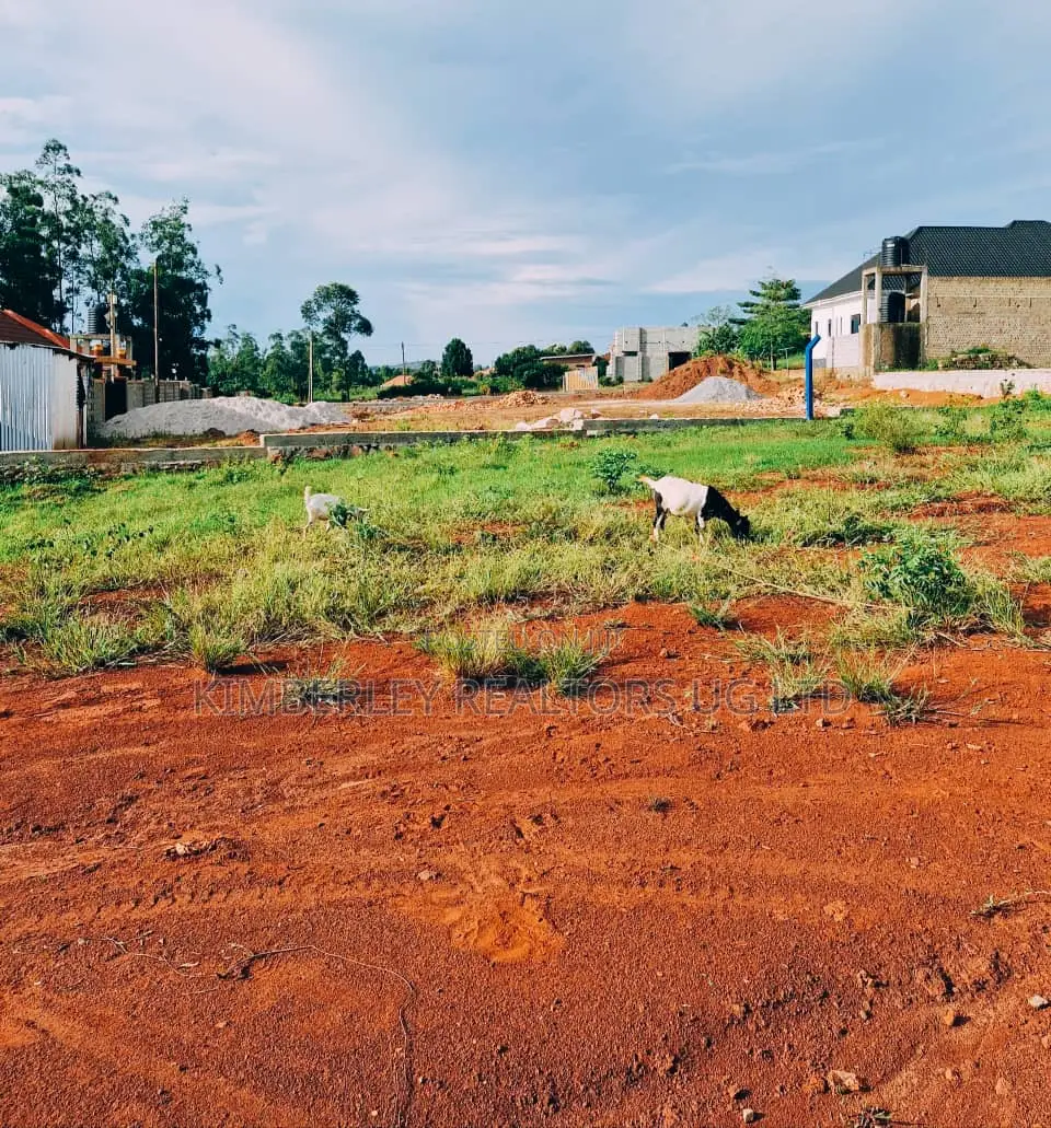  Quick Sale   Plot for Sale