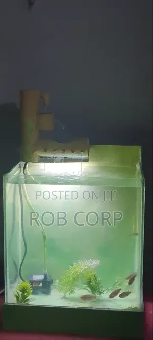 Rechargeable Aquarium With Fish