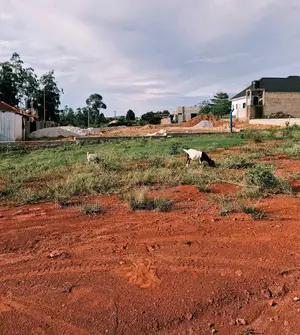 Good Deal – Land for Sale