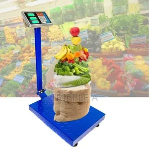 Folding 200kg Platform Weighing Scale
