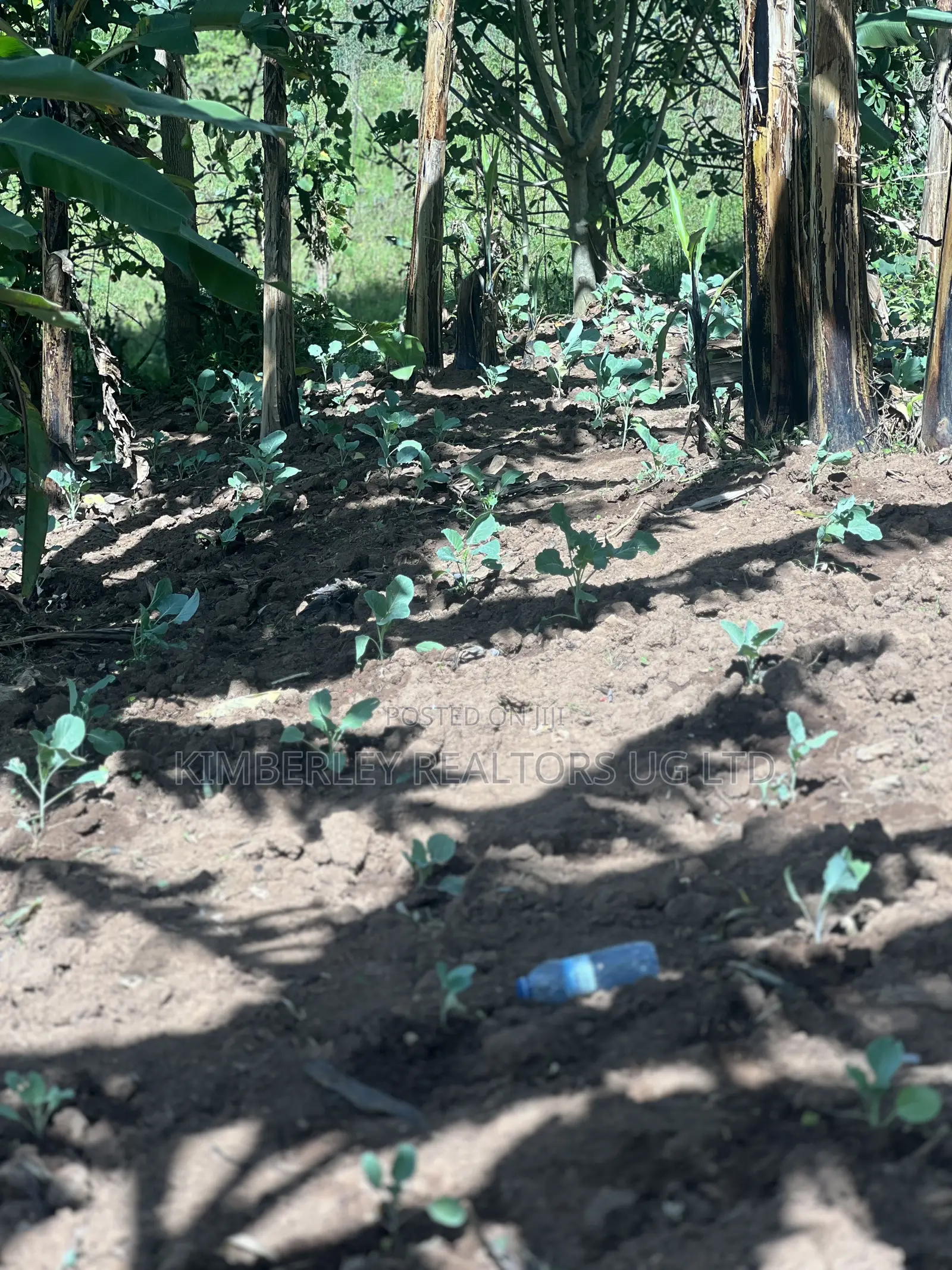  Plot for Sale