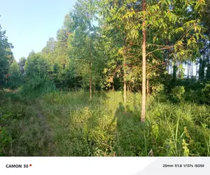 1 Commercial Acre – Naguru