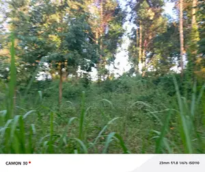 3 Plots For Sale – Matugga Sanga At 24m/Plot
