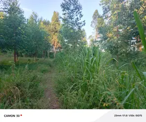 Buzibwera Tokekulu Estate : Prime Agricultural Land At 13m Per Acre