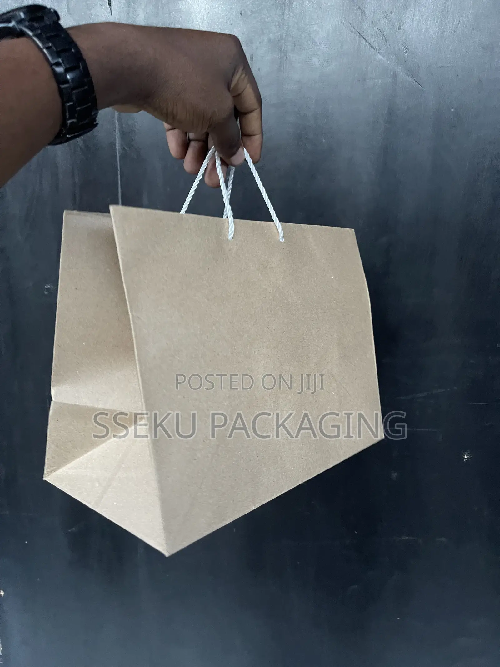 Premium Kraft Paper Gift Bags 10 PCS
