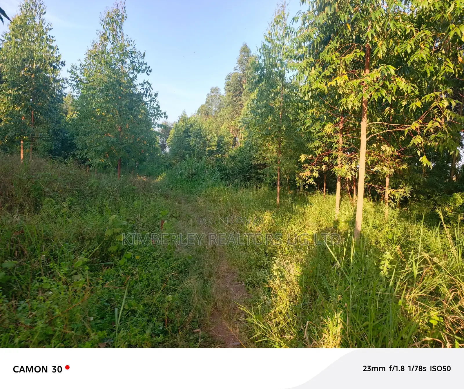  Busika – Plot Deal