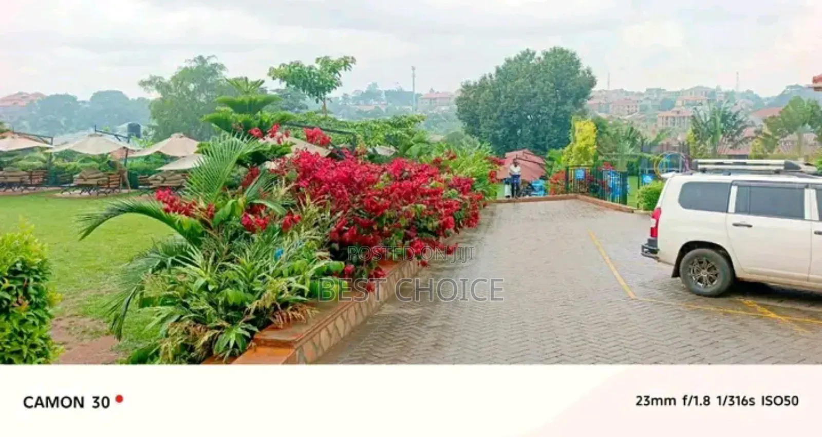 Expert Compound Designing/Land Scaping Services,Compounds Elevated