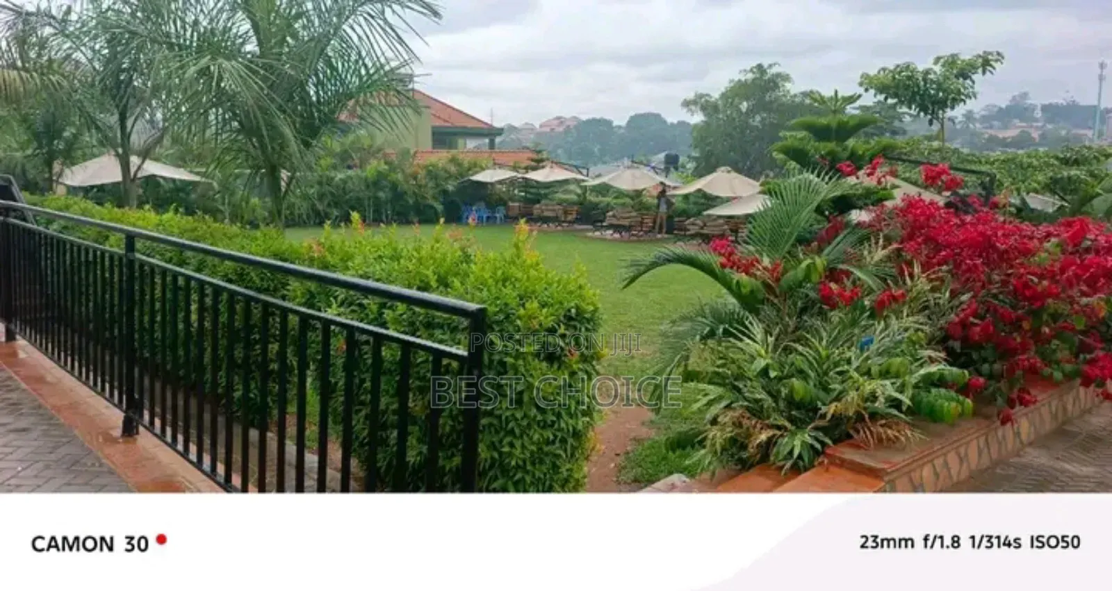 Expert Compound Designing/Land Scaping Services,Compounds Elevated
