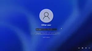 Forgotten Password And Pin,Reset On Windows Pcs And Laptops Service