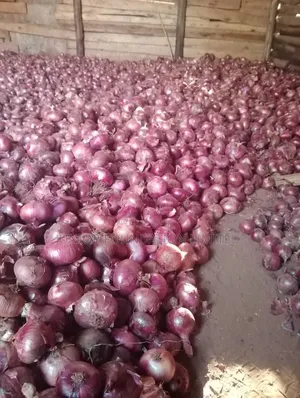 Onions On Sale