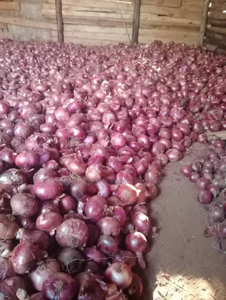 Onions On Sale