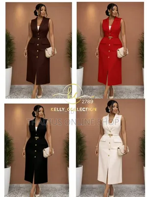 Ladys Nice Classic Dresses and Also Be Office Dress