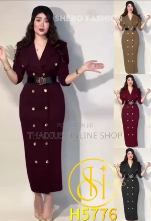 Ladys Nice Classic Dresses and Also Be Office Dress