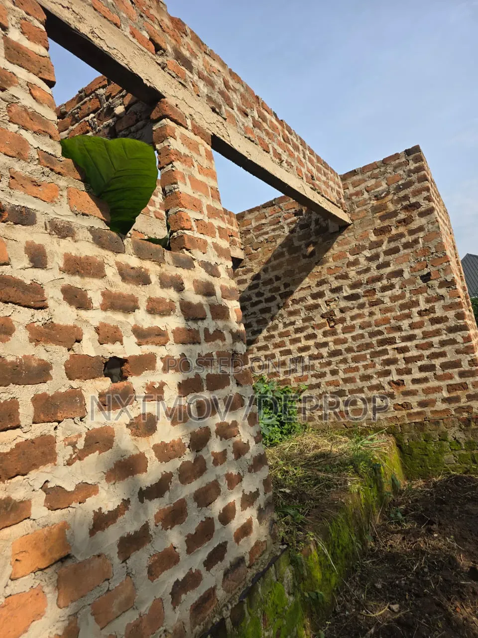 Plot With a Shell House