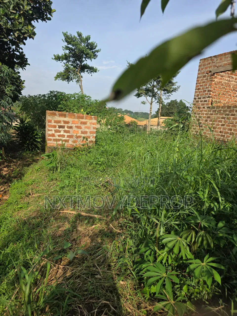 Plot With a Shell House