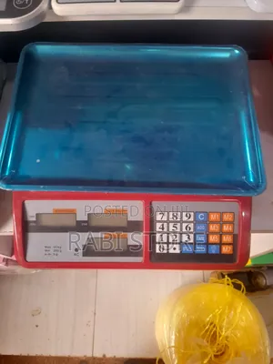 Pricing and Memory, Computing Digital Scale 40kg