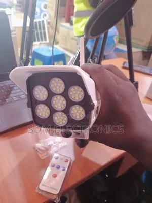 Solar Motion Sensor Light