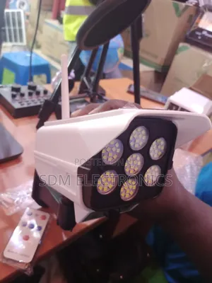 Solar Motion Sensor Light