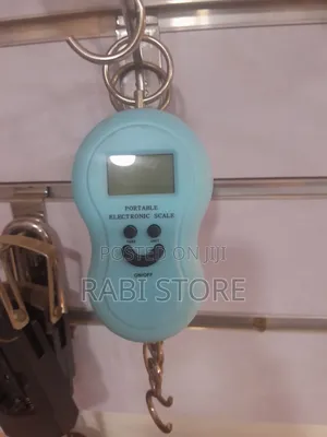 Portable Electronic Hanging Scale, 50kg