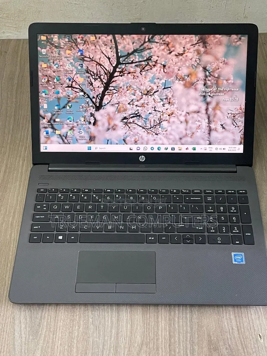 Laptop HP 250 G7 8GB Intel Celeron HDD 500GB