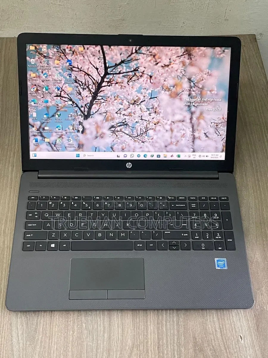 Laptop HP 250 G7 8GB Intel Celeron HDD 500GB