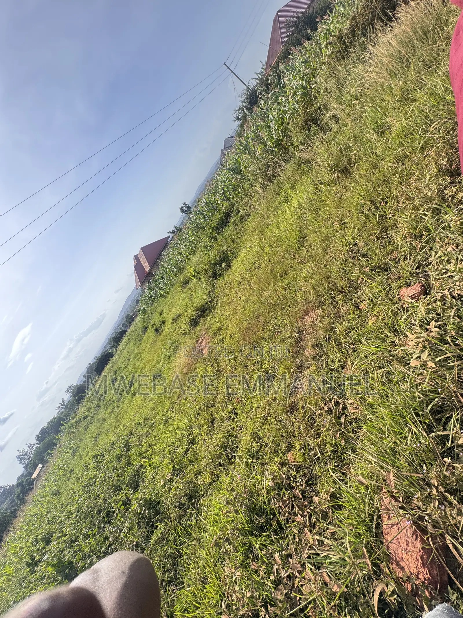 Plot for Sell. 50/ 100.