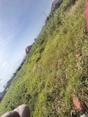 Plot for Sell. 50/ 100.