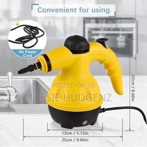 Raf Handheld Steam Cleaner,
