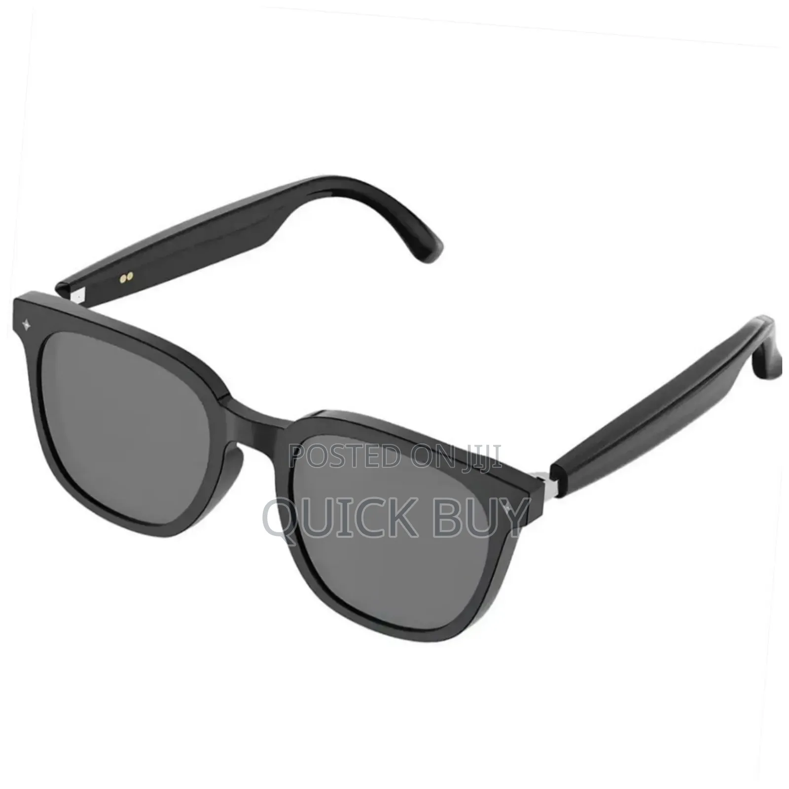 Green Lion Rayna Ai Smart Glasses