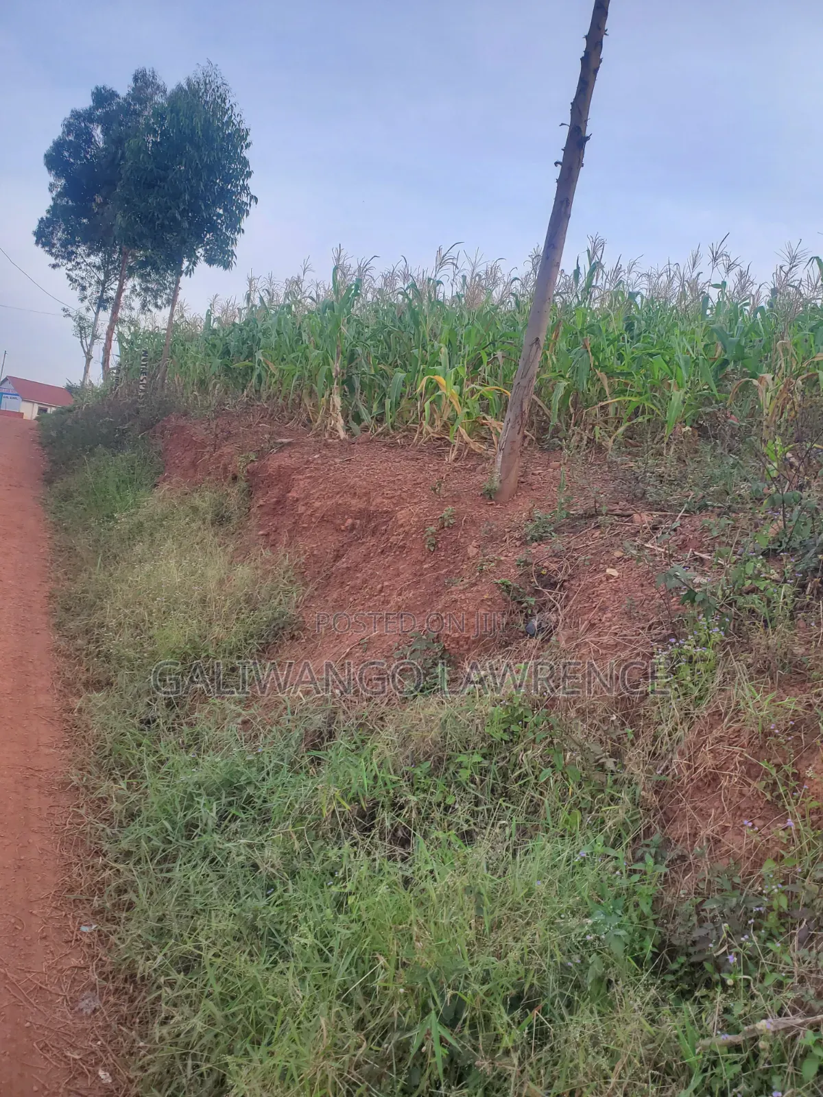 Kasasa Plots